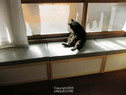 3�x���`�N�b�V�����A���^�C�v