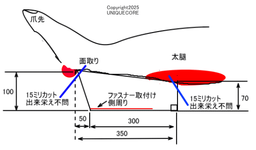 ���ڊ�����ی삷��N�b�V����