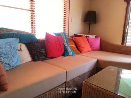 ���ʃN�b�V�����̂݌���